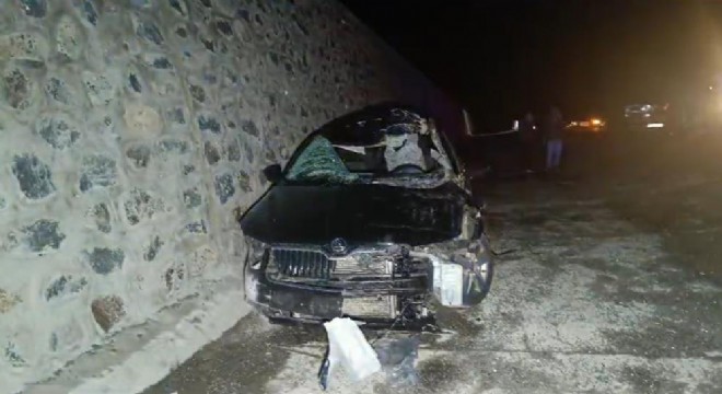 Bingöl yolunda otomobil ata çarptı: 1 ölü, 5 yaralı